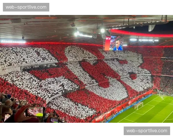 特写：远征的日本球迷在德黑兰阿扎迪体育场外展示巨型TIFO